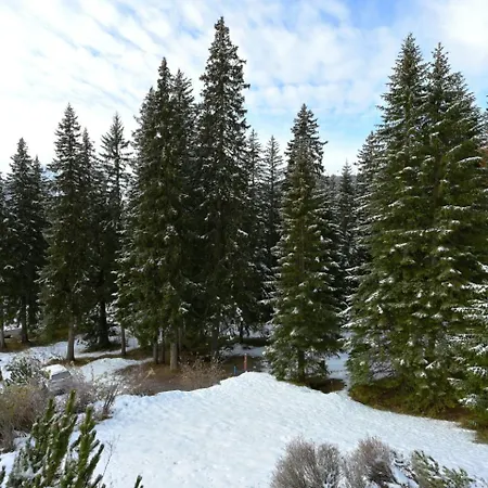 Chesa Igna * Arosa